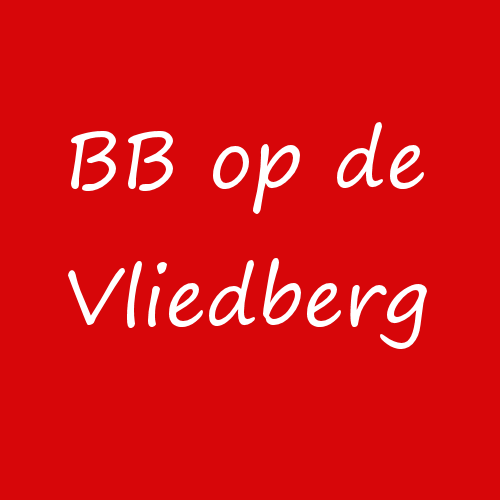 Buurt Bestuurt op de Vliedberg